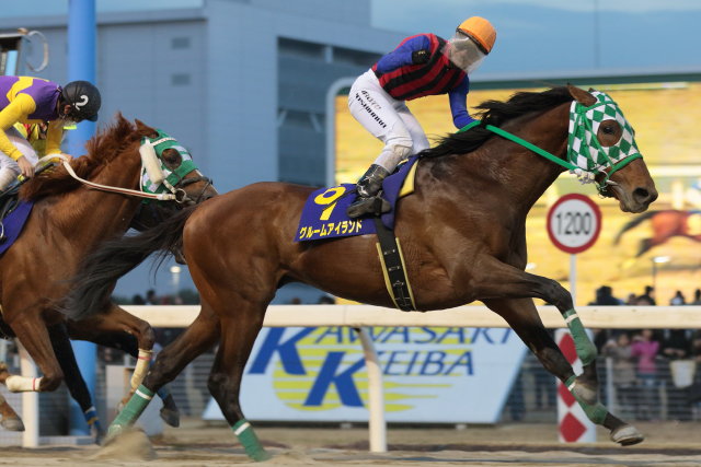 2016報知オールスターカップ